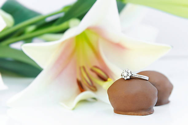 Discover the Enduring Appeal of Lily Arkwright Trilogy Ring Designs